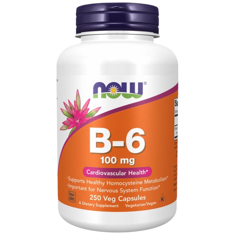 Vitamina B -6 100 mg - 250 capsule