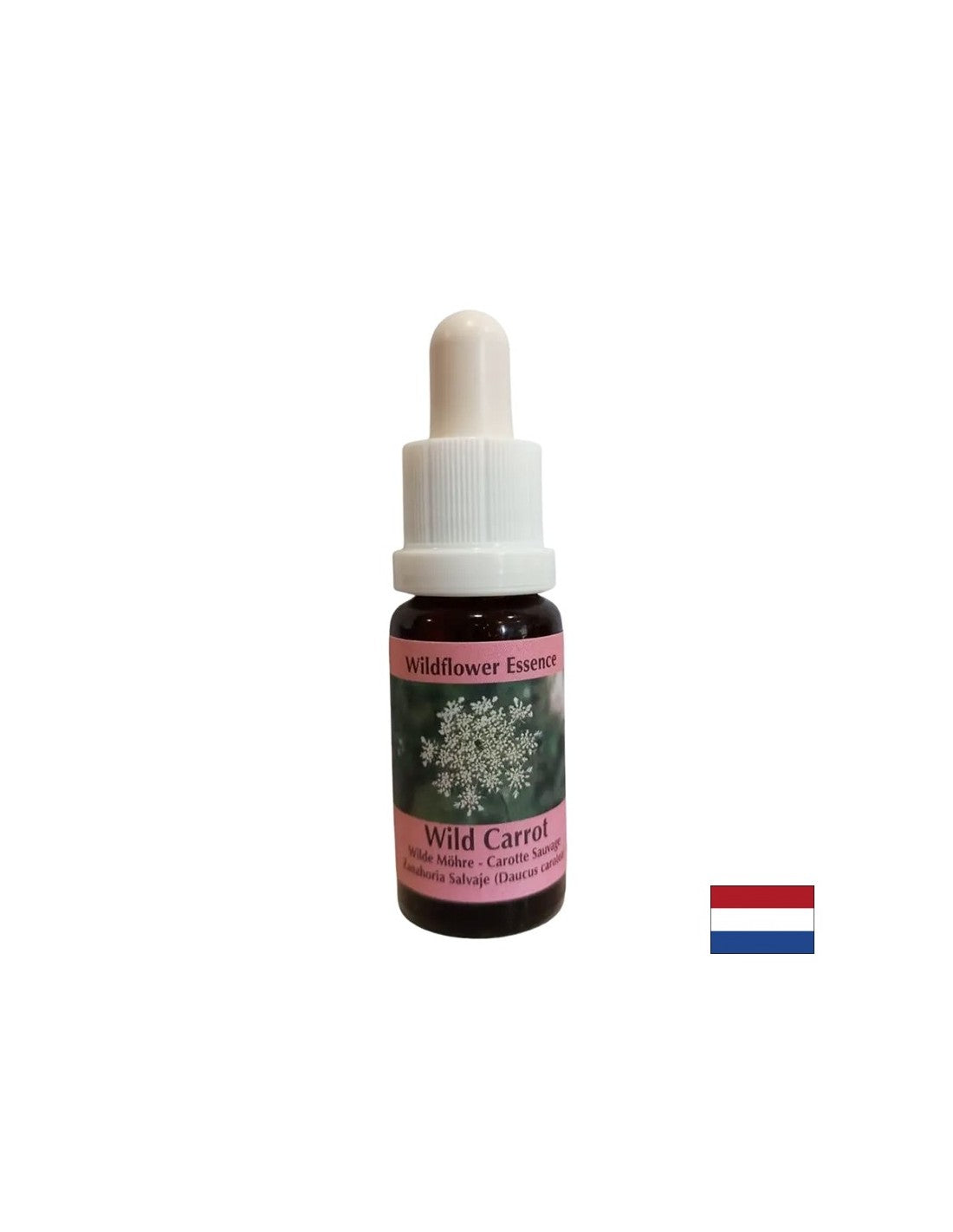 Calmează mintea - Esență de morcov sălbatic, picături 15 ml