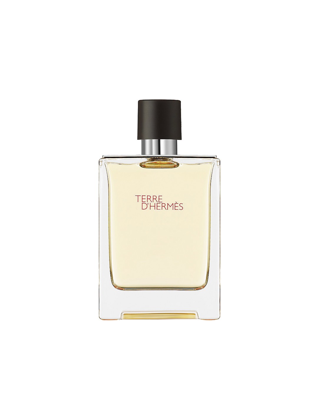 Hermes Terre D'Hermes Apa de Toaleta Spray 100ml