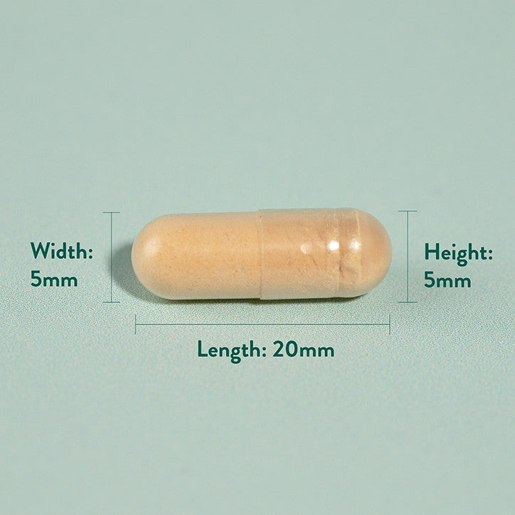 Extract de ciulin de lapte (Milk Thistle) 60 capsule HOLLAND & BARRETT
