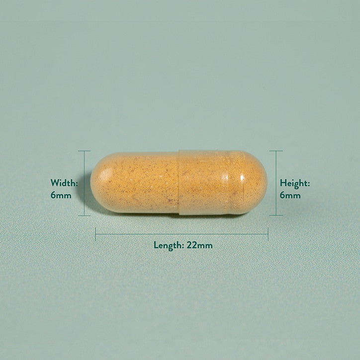 Turmeric 500mg 90 capsule HOLLAND & BARRETT