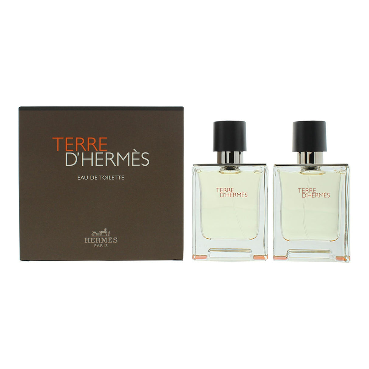 Apa de toaleta Hermès Terre D´Hermes spray 2x50ml