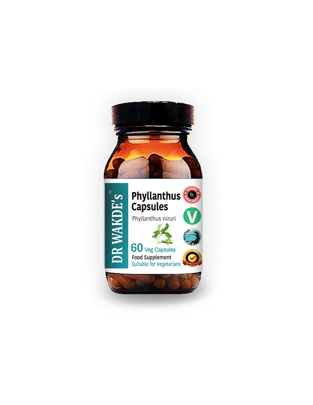 Phyllanthus - pentru boli ale ficatului și splinei, gută, 60 capsule
