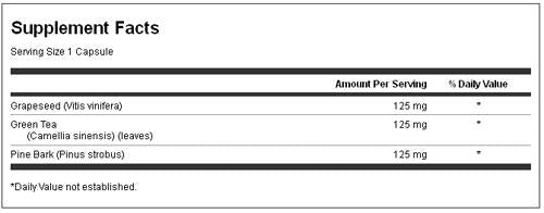 Gumă Mastic 500 mg 60 capsule