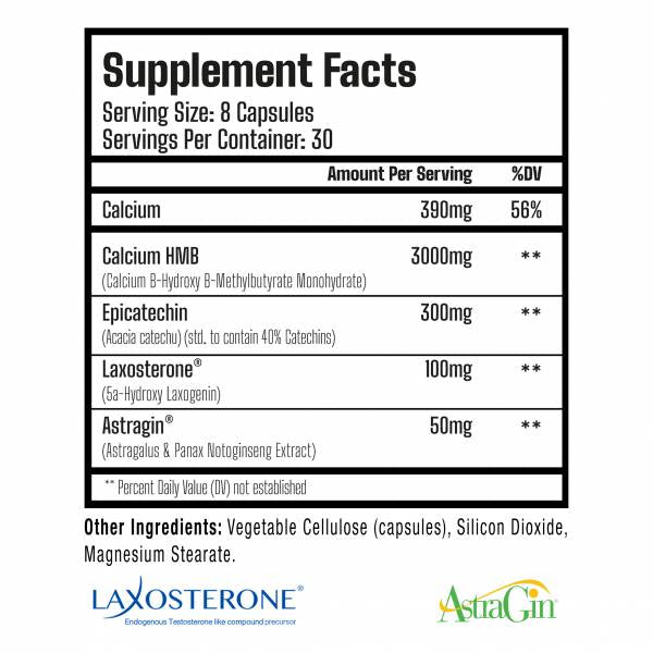 Seismic | Natural Muscle Building Complex - 240 capsule