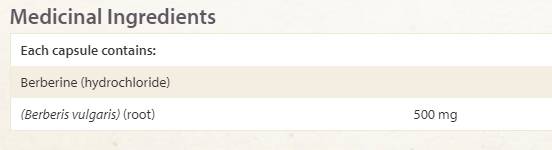 WellBetX Berberine 500 mg - 60 capsule