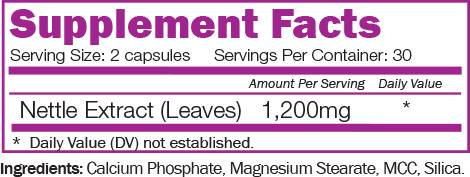 Nettle Max - 60 capsule