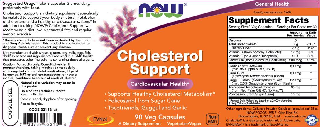 Cholesterol Support - 90 capsules - Nutra Best Europe