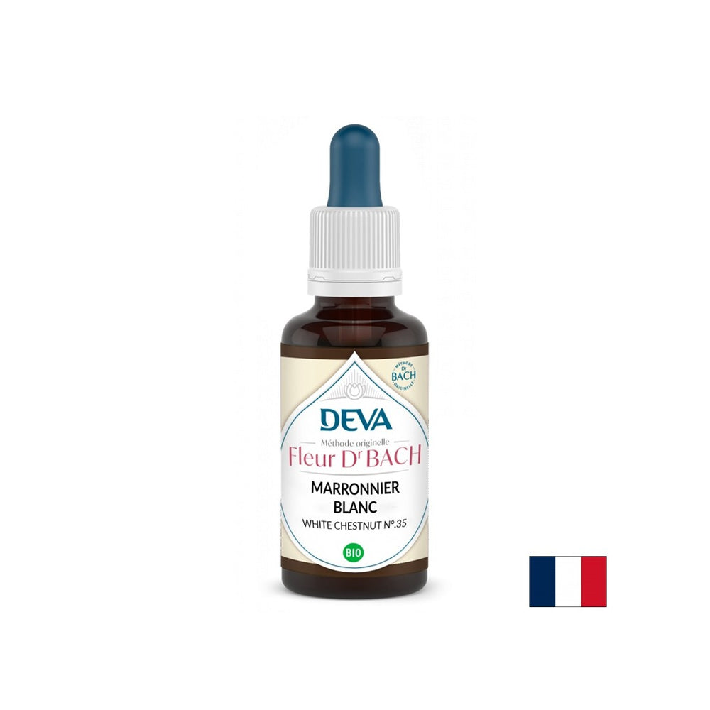 Memorie și concentrare - Castan sălbatic, picături Bach nr. 35, 15 ml