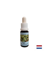 Stimulează autovindecarea - Esența de alge nr. 1, picături 15 ml
