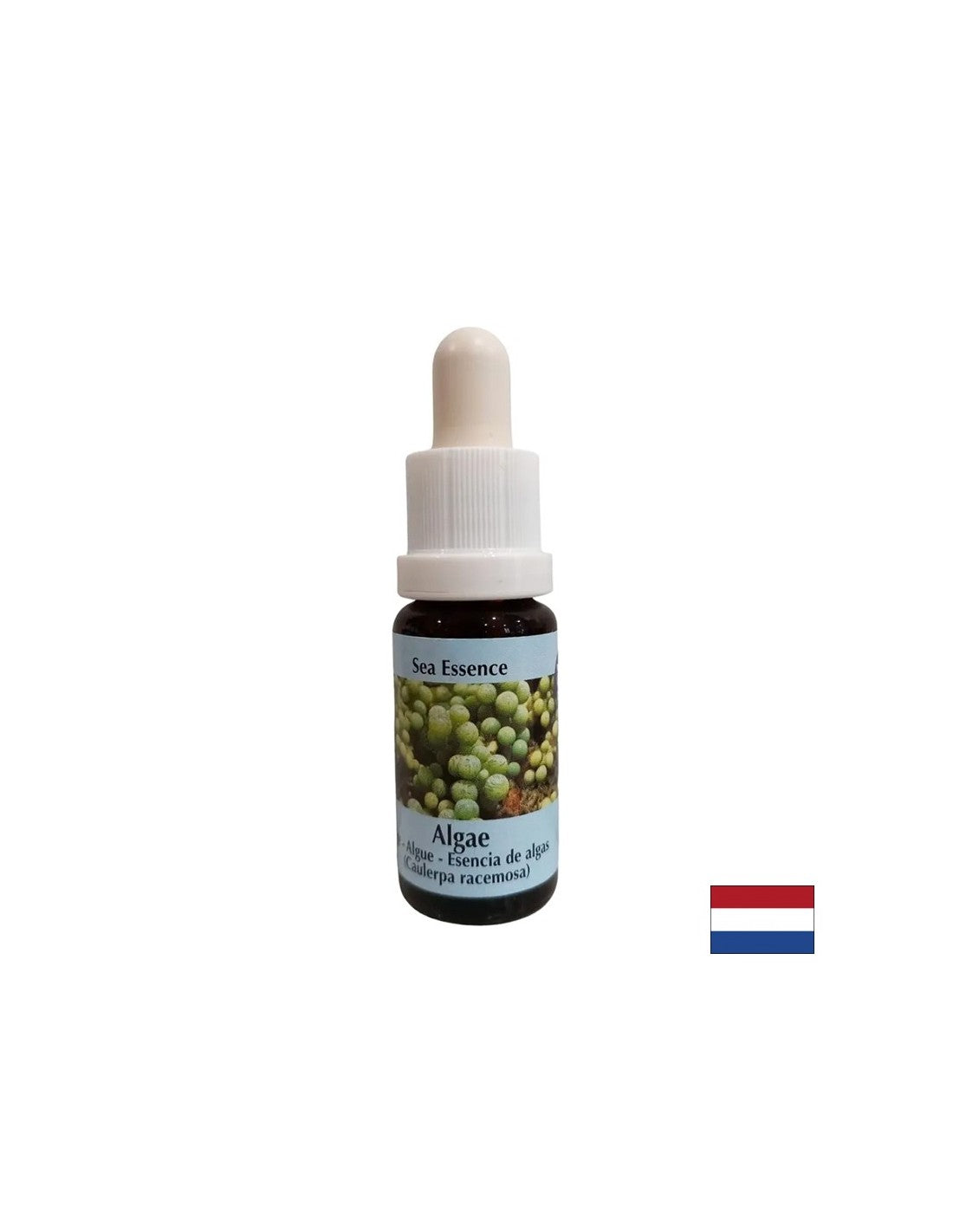 Stimulează autovindecarea - Esența de alge nr. 1, picături 15 ml
