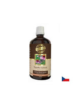Imunitate - Echinacea, tinctură de 100 ml