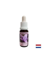 Oferă încredere - Esență de gențiană nr. 12, picături 15 ml