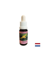 Stimulează schimbarea conștientă - Essence White Mistletoe No. 12, picături 15 ml