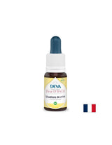 Prim ajutor în situații de criză, esențe florale, picături conform metodei Bach, 15 ml