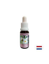 Promovează comunicarea - Esență de Iris de Mlaștină, picături 15 ml