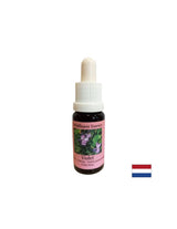 Depășește disconfortul respingerii și singurătății - Essence Fiber Violet Nr. 18, picături 15 ml