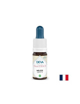 Pentru frică și incertitudine - Larch, picături Bach nr. 19, 15 ml