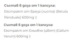 Extract de mesteacăn + mesteacăn - 2 x 60 capsule