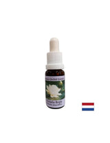 Pentru conștientizare spirituală - Esența Victoria Regia nr. 20, picături de 15 ml