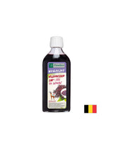 Imunitate - Suc de soc negru, 200 ml