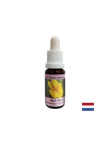 Clarifică mintea în caz de frică și panică - Esență de Helianthemum (Galben) Nr. 26, picături 15 ml