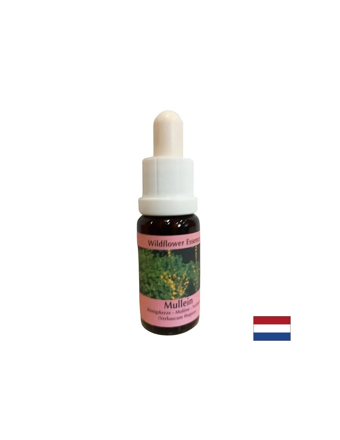 Susține munca în echipă și creativitatea - Lopen Essence nr. 29, picături 15 ml
