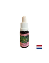 Susține munca în echipă și creativitatea - Lopen Essence nr. 29, picături 15 ml