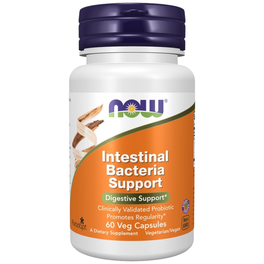 Suport pentru bacterii intestinale | cu 3 miliarde de celule active - 60 de capsule
