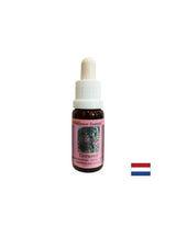 Ajută la alungarea amintirilor negative - Essence Salcie cu frunze înguste nr. 37, picături 15 ml