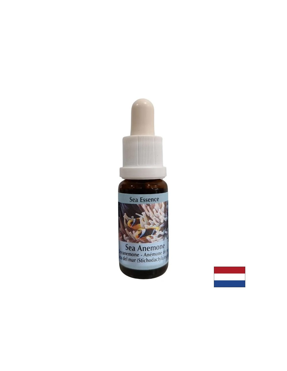 Întărește coeziunea și claritatea în alegerea unui partener - Esența de Anemonă de Mare Nr. 6, picături 15 ml