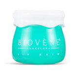 Balsam de buze cu avocado și colagen pentru volum și moale - 8 grame