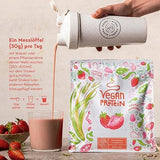 Căpșuni cu pulbere de proteine ​​vegane - 600 g fabricate în Germania - Alpha Foods