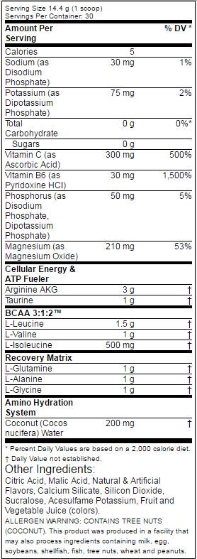 Amino 1 Hydrate + Recover 432 grame
