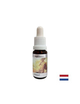 Ajută la înțelegerea semnificației banilor - Angel Essence Nr. 1, picături 15 ml