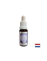 Pentru găsirea cuvintelor potrivite - Essence Mechiel (Esența Îngerului nr. 16), picături 15 ml