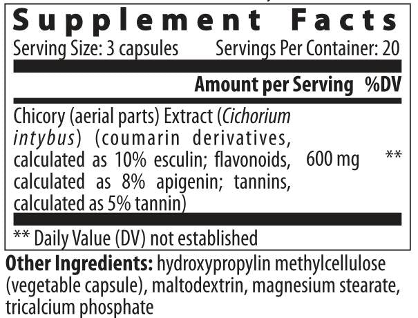 Cicoare - 60 capsule