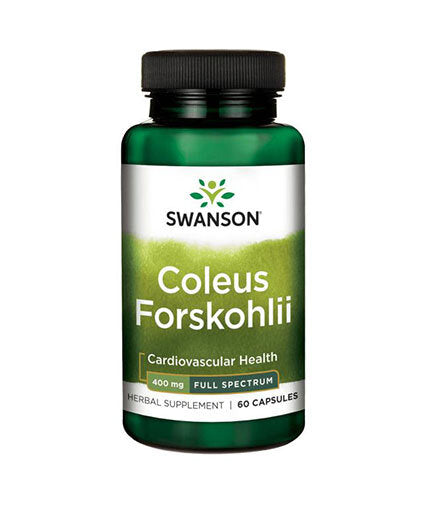 Coleus Forskohlii / Forskolin 400 mg - 60 capsule