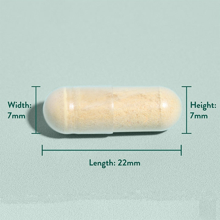 Extract de ciulin de lapte (Milk Thistle) 30 capsule HOLLAND &amp; BARRETT