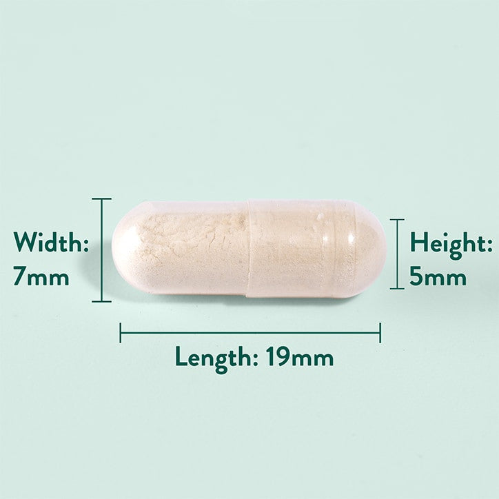Green Lipped Mussel 1000 mg - 120 capsule