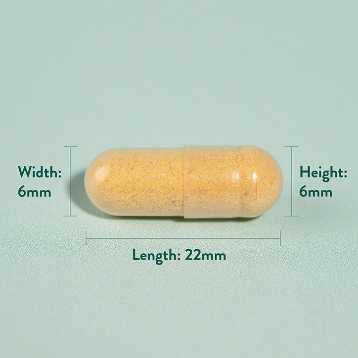 Turmeric 500mg 240 capsule HOLLAND &amp; BARRETT