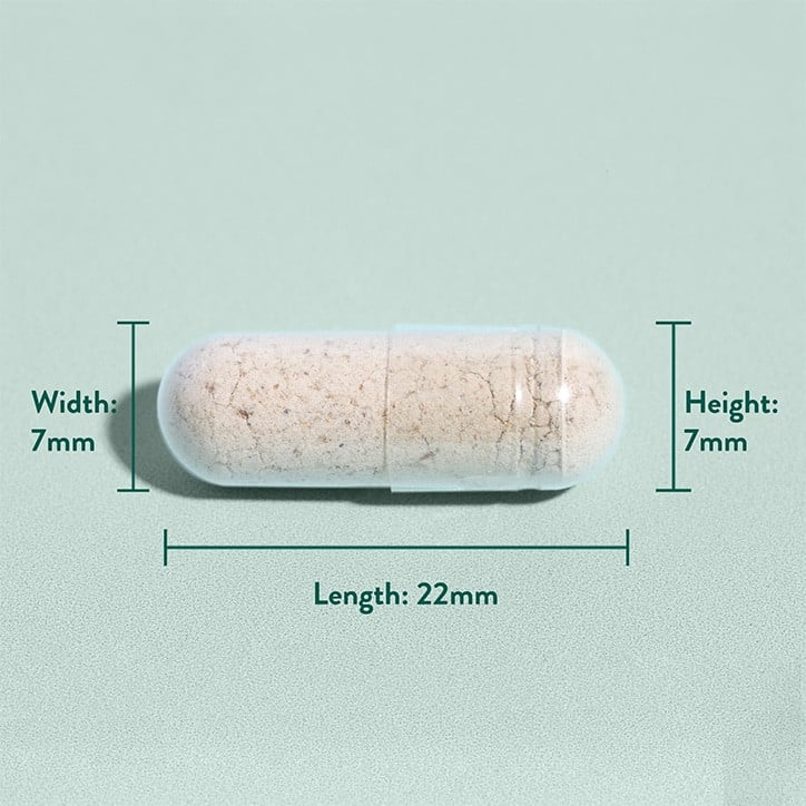 Fibră Psyllium Husk (Psyllium Husk) 500 mg 180 capsule HOLLAND &amp; BARRETT