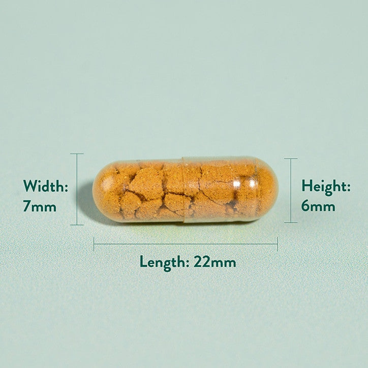 Turmeric de înaltă rezistență | Plus Boswellia &amp; Ghimbir - 90 capsule