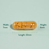 Turmeric de înaltă rezistență | Plus Boswellia &amp; Ghimbir - 90 capsule