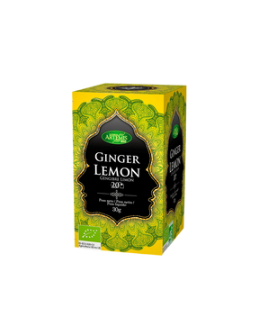 Tea with ginger and lemon BIO, 20 filter bags - Nutra Best Europe
