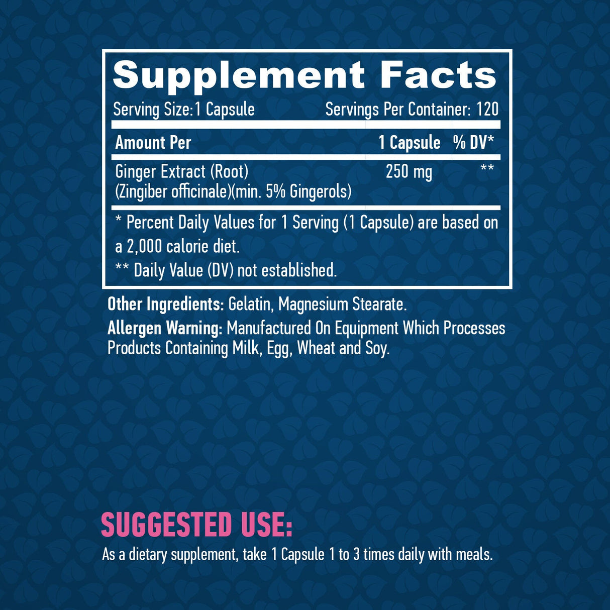 Ghimbir 250 mg. / 120 Vcaps.