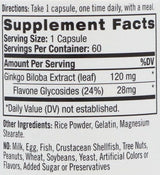 Ginkgo Biloba 120 mg. / 60 Caps.