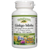 Ginkgo Biloba 60 mg - 120 capsule