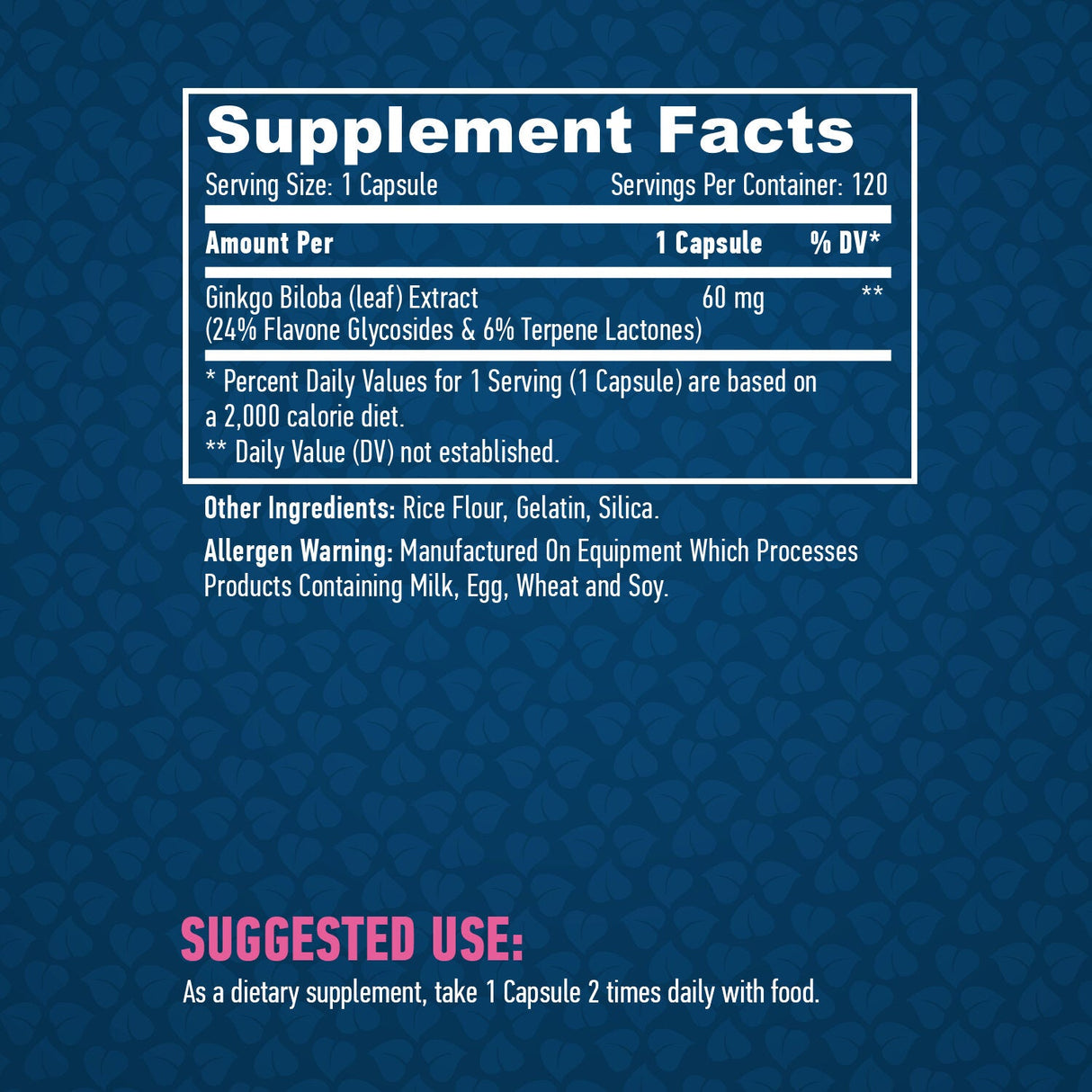 Ginkgo Biloba 60 mg. / 120 capsule.