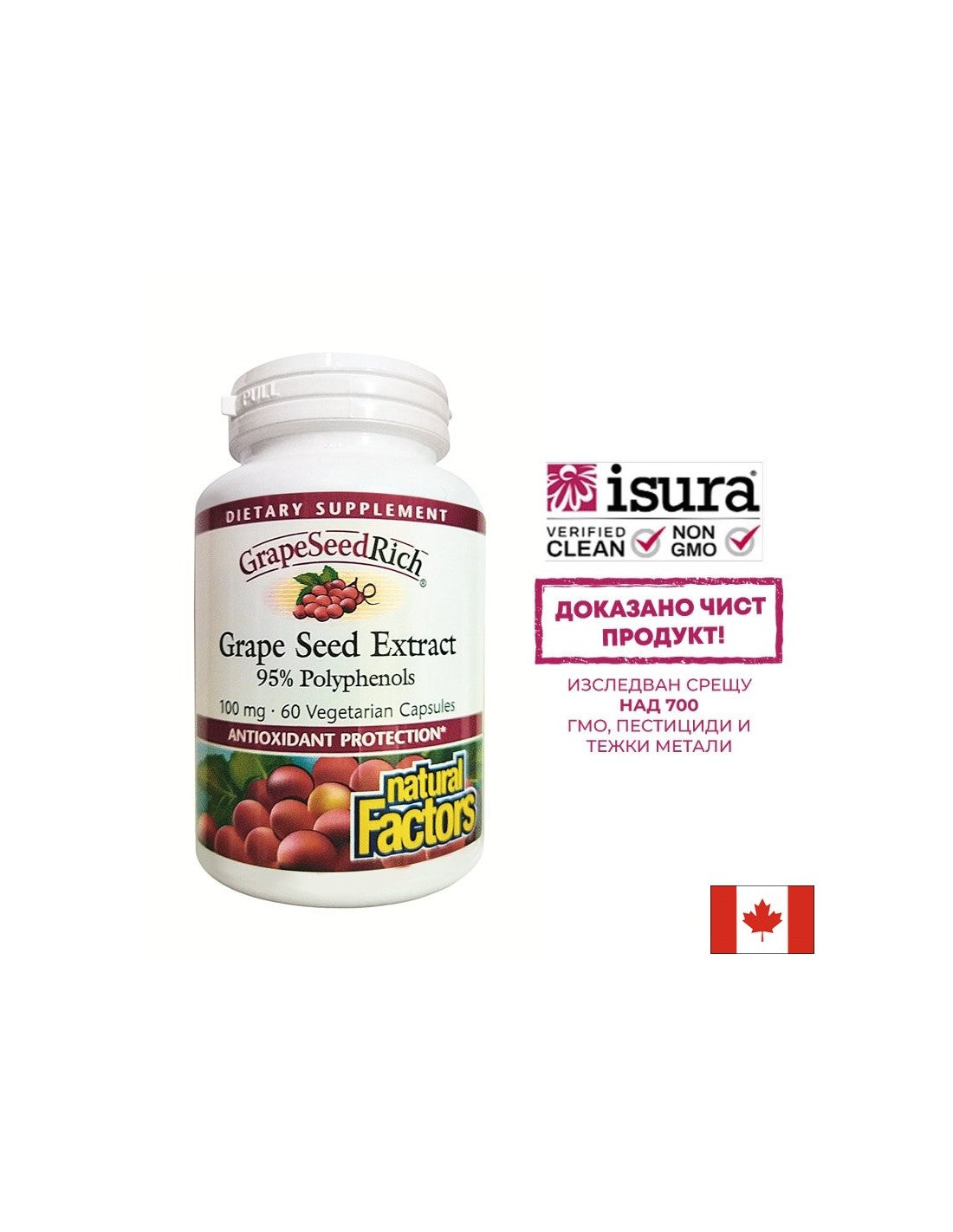 GrapeSeedBogat | Extract din samburi de struguri 100 mg - 60 capsule